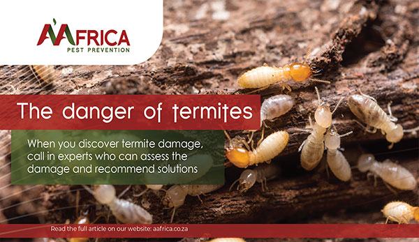 A'Africa Pest Prevention | The danger of termites